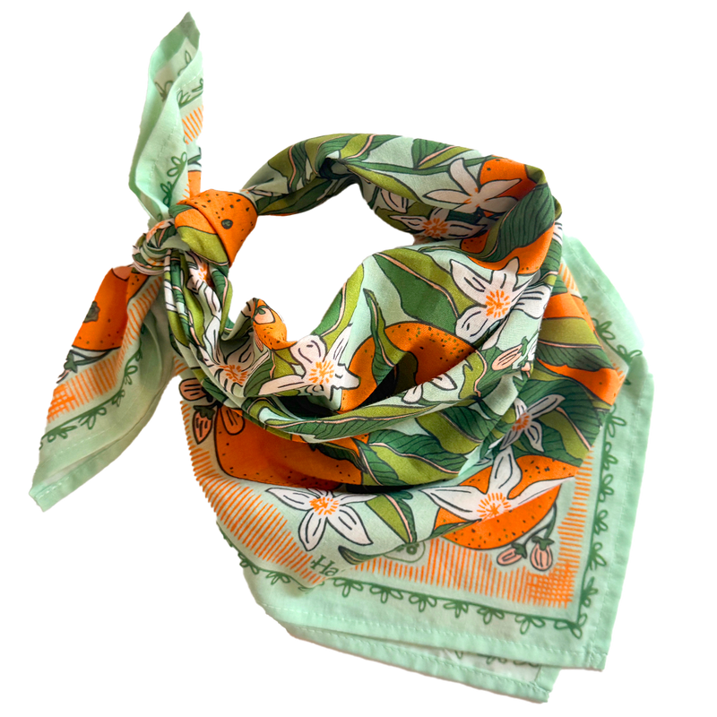 Handker bandana, women’s bandana, boutique bandana, cotton bandana, women’s accessories, easy outfit accessory, Cotton and Cashmere, Blanco Texas boutique  