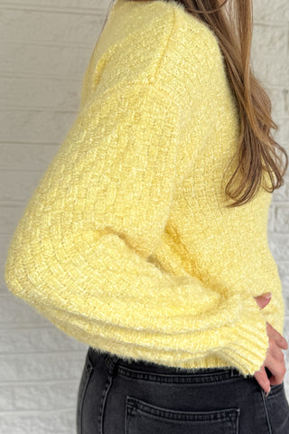 Soft, cheerful, and effortlessly cozy — this braided knit sweater adds a touch of sunshine to cool days. Its subtle checkered texture gives it dimension, while the classic crew neckline and ribbed edges keep it timeless. Easy to pair with denim or skirts for a bright, everyday look.
