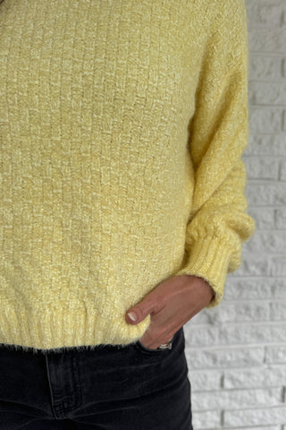Soft, cheerful, and effortlessly cozy — this braided knit sweater adds a touch of sunshine to cool days. Its subtle checkered texture gives it dimension, while the classic crew neckline and ribbed edges keep it timeless. Easy to pair with denim or skirts for a bright, everyday look.