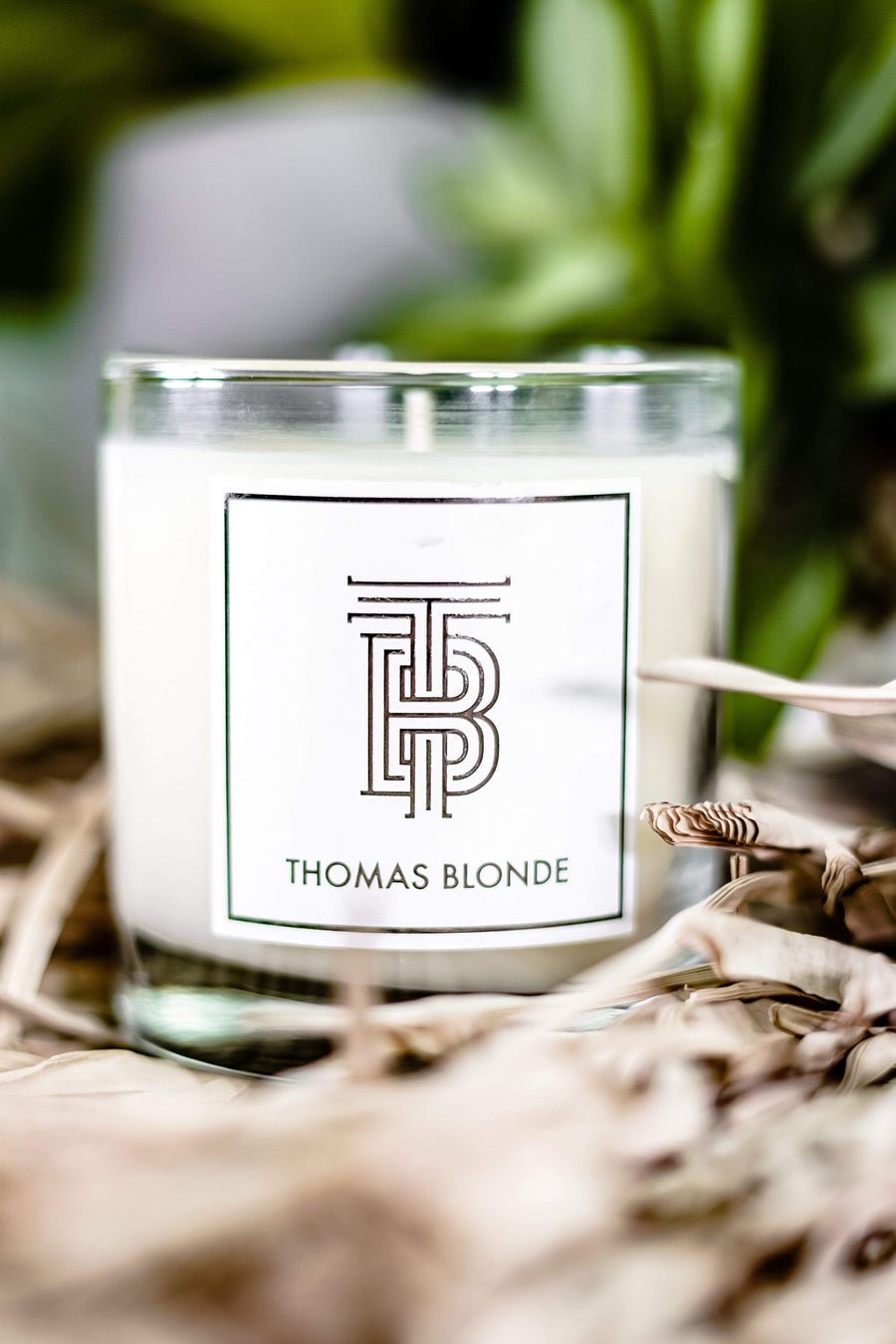 Thomas Blonde Candle, Joshua Tree - Cotton & Cashmere