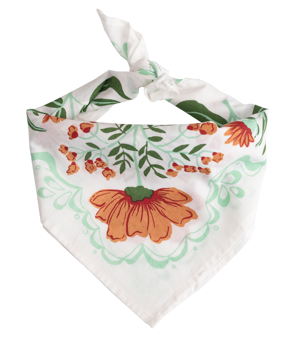 Handker cotton bandanas
cotton bandanas
women’s bandanas
bandanas for women
cotton neck scarf
hair scarf bandana
bag scarf accessory
western bandana style
boutique accessories
easy everyday accessory
cotton accessories
gifts for women
Cotton & Cashmere accessories
Blanco Texas boutique
shopping in Blanco Texas