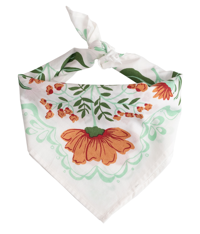 Handker cotton bandanas
cotton bandanas
women’s bandanas
bandanas for women
cotton neck scarf
hair scarf bandana
bag scarf accessory
western bandana style
boutique accessories
easy everyday accessory
cotton accessories
gifts for women
Cotton & Cashmere accessories
Blanco Texas boutique
shopping in Blanco Texas